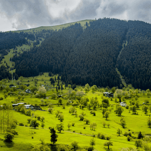 Saputara Hill Station