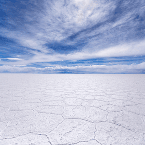 White Rann of Kutch